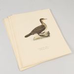 1753&nbsp;7025&nbsp;Litografier